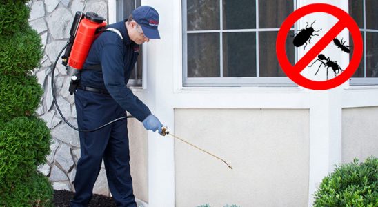 Lapseki Karınca İlaçlama böcek ilaçlama ve haşere kontrolü — ilaclama-tr.com